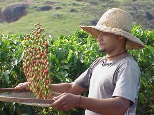 Temporary Agricultural Workers Visa